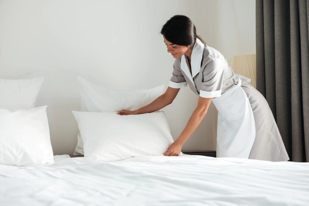 Cons of Professional House Cleaning Services​