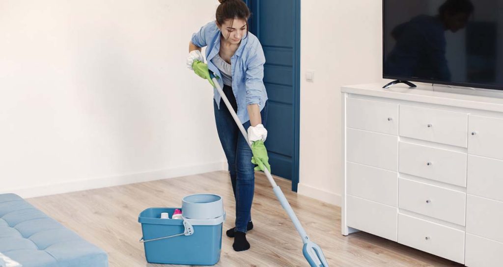 professional maid service in Danbury, CT