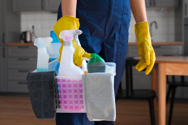 Upholstery and Carpet Cleaning for Allergen Control