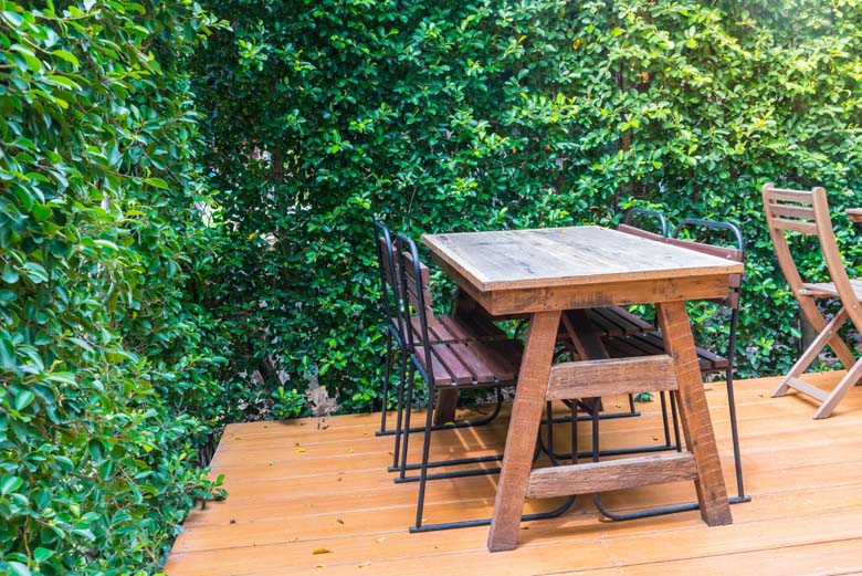 Revamp Your Backyard: Discover 5 Ways House Cleaning Services Near Me Can Transform Your Outdoor Oasis