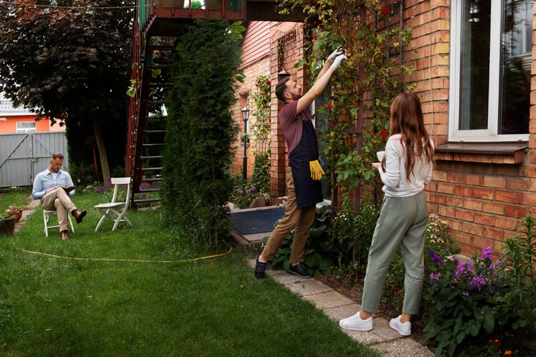 Lawn Care