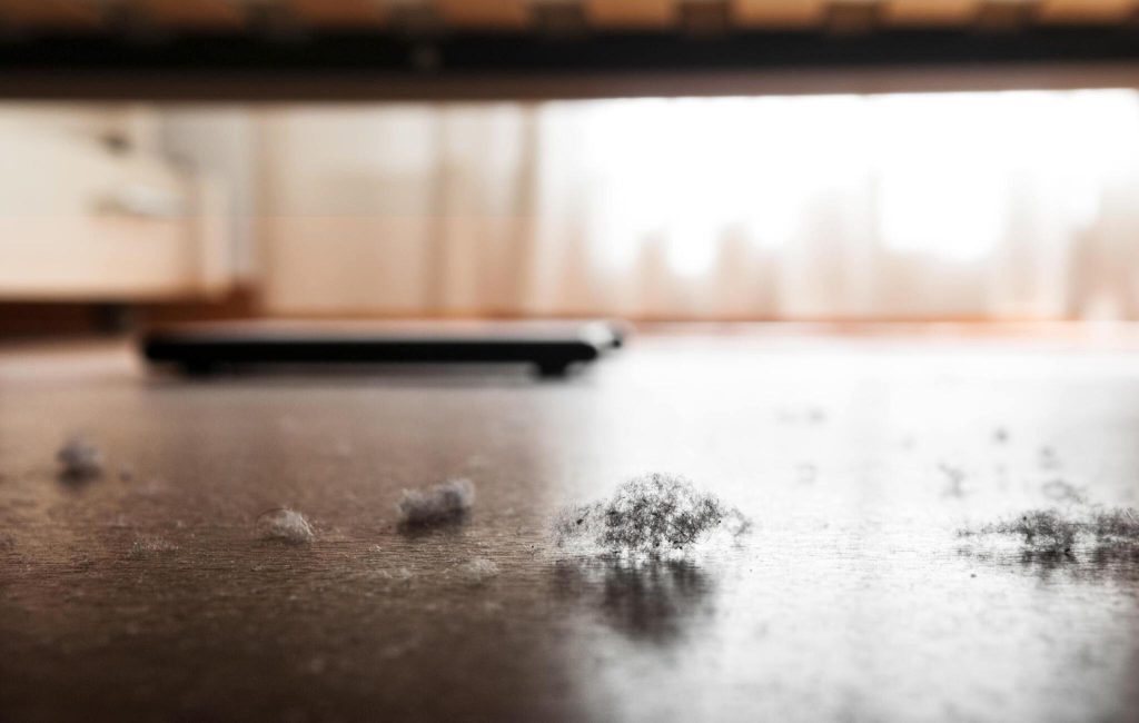 8 Easy Ways to Reduce Dust in Your Home Through Housekeeping